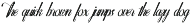Warlista Wedding Script Font preview