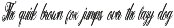 Warkina Script Font font preview