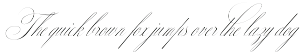 Allegra Script preview