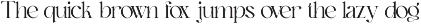 Ankadi Serif preview