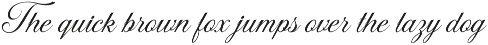 Macy Script preview