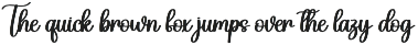 Saga | Script Font preview