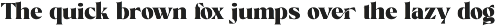 Mikey Elegant Serif Font preview