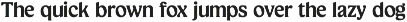 Champie; Soft Serif Font Family preview
