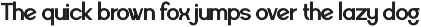 Raxogen - Geometric Variable Font preview