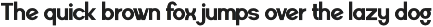 Raxogen - Geometric Variable Font preview