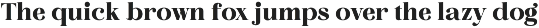 Margest - Modern Serif (14 FONTS) preview