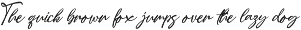 Beligera – Elegant & Stylish Script preview