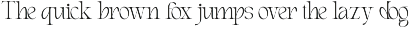 Elviante - Condensed Serif Font preview