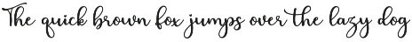 Swashy Font Bundle preview