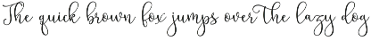 Swashy Font Bundle preview