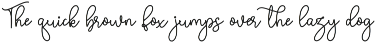 Swashy Font Bundle preview