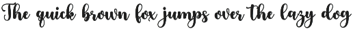 Swashy Font Bundle preview