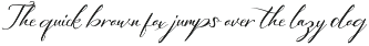Swashy Font Bundle preview