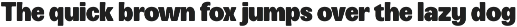 Leinfrakt - Heavy Display Sans preview