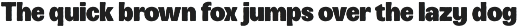 Leinfrakt - Heavy Display Sans preview