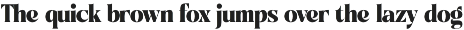 Night Roasty Modern Serif Font preview