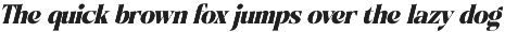 Night Roasty Modern Serif Font preview