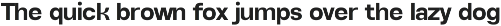 Alvara Sans High Contrast Family preview