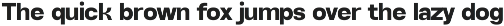 Alvara Sans High Contrast Family preview
