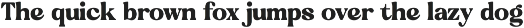 Regina Bonita Modern Retro Serif preview