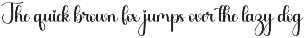 Bunny preview