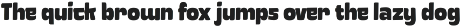 Mankove - Bold Casual Fonts preview