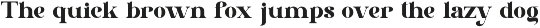 Ribery || Unique Serif Font preview
