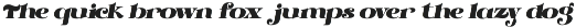 Markowl - Retro Stylish Serif preview