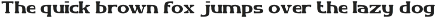 Vyntary - Vintage Slab Font preview