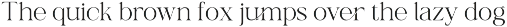 Shanell - Modern & Luxury Serif Font preview