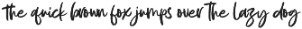 Garemy Handwritten Brush Font preview