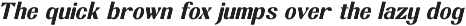 Break Noise Bold Sans Display preview