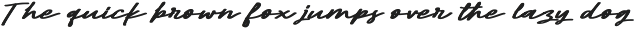 Pamlla Aesthetic Script Font preview