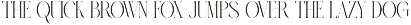 Erhjan Elegant Serif Font preview