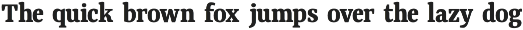 Qubeik Nue - A Premium Serif Font preview
