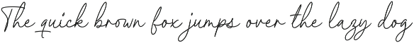 Meganoli - A Modern Font Duo preview
