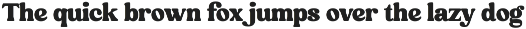 Besgum - Bold Retro Serif Font preview