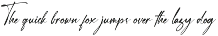 Janelotus | Signature Font preview