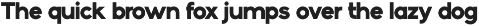 Fortius - Sans serif font family preview