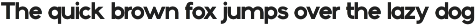 Fortius - Sans serif font family preview