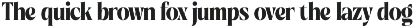 Beachy Lemon Modern Serif Font preview