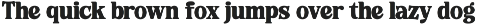 Rolling Basket Modern Retro Serif preview