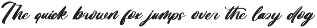 Skanika Bold Handwritten Font preview