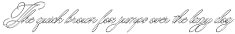 Georghina Script Pro preview