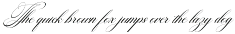 Georghina Script Pro preview