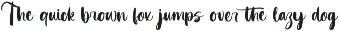 Practice Snack Bold Handwritten Font preview
