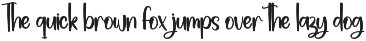 Amsterdam | Script Font preview