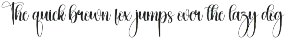 Shining | Script Font preview
