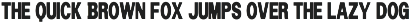 Budder - Variable Typeface Family preview